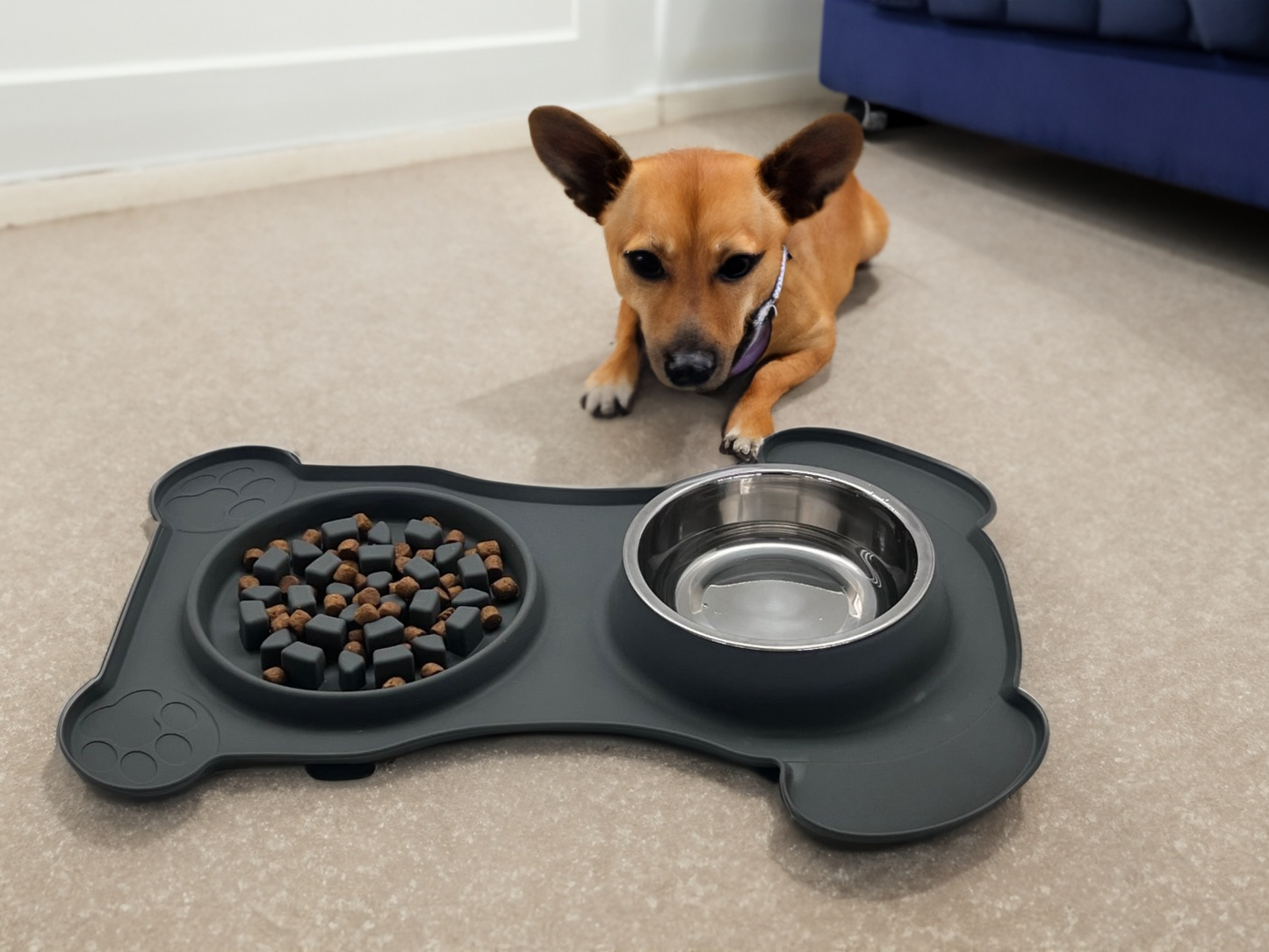 2 IN 1 Slow'Em Down Pet Tray