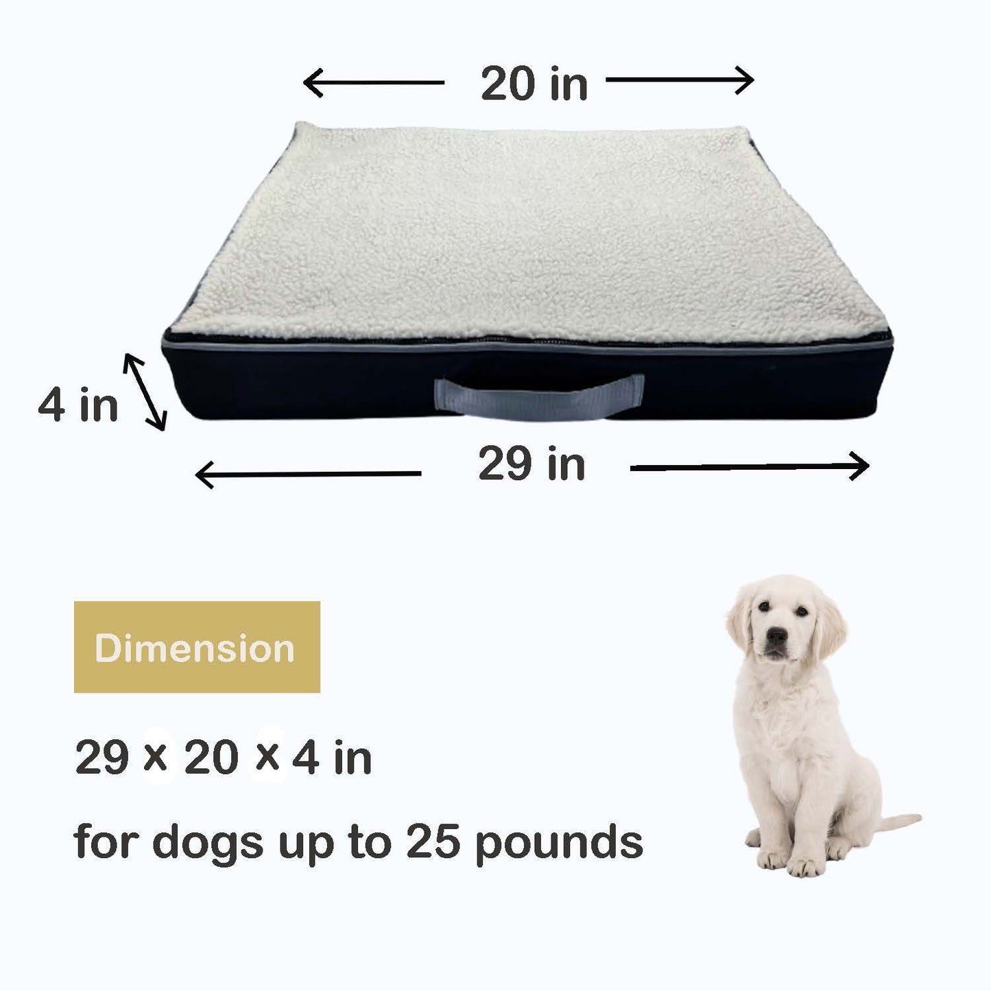 Charcoal Infused Memory Foam Pet Bed