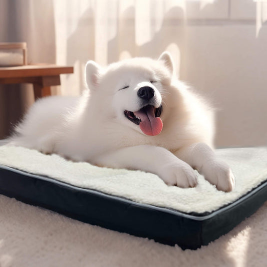 Charcoal Infused Memory Foam Pet Bed