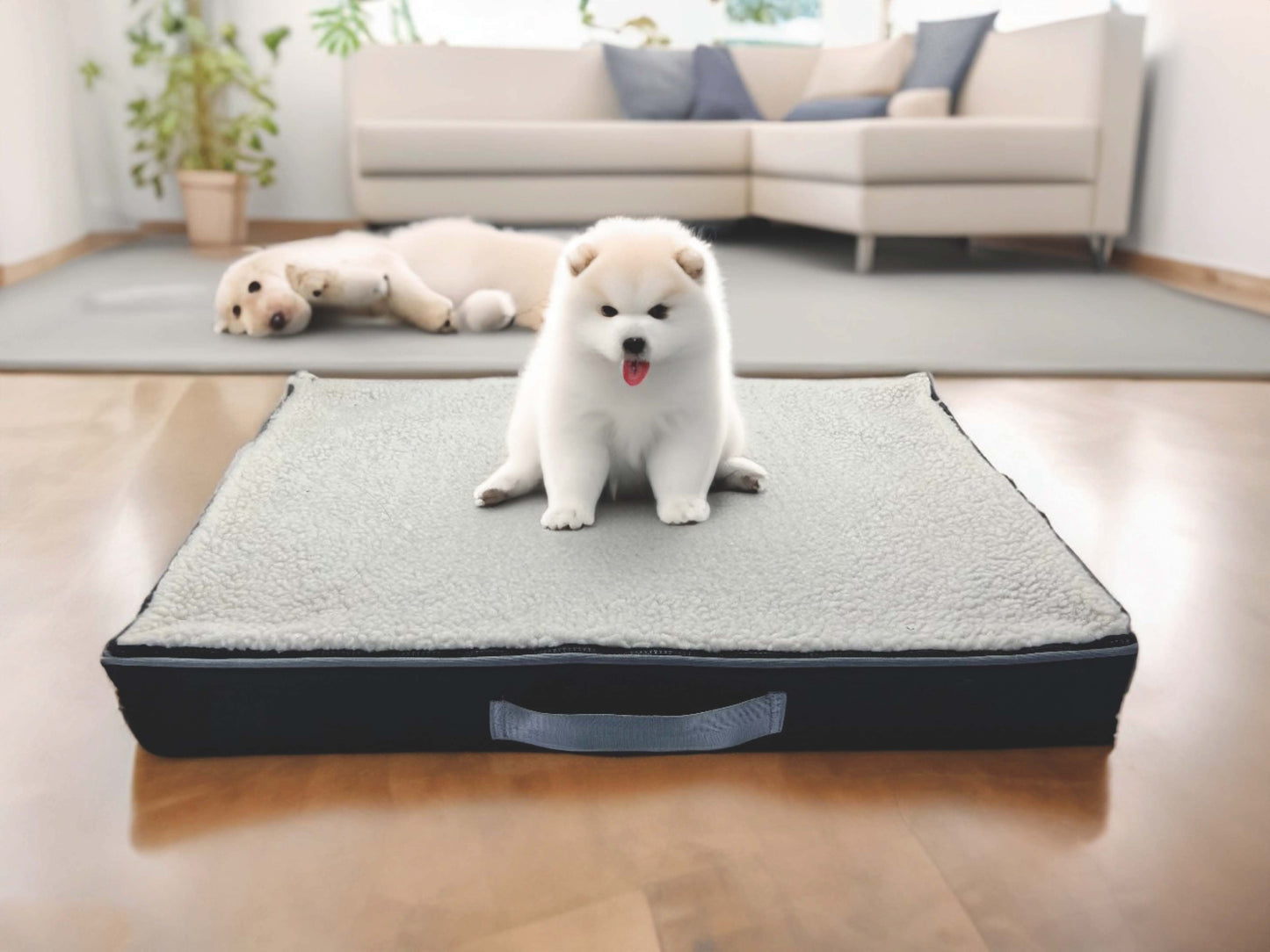 Charcoal Infused Memory Foam Pet Bed